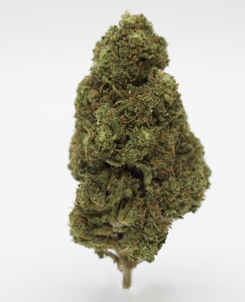 Flores de CBD Mango