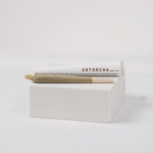 Antorcha CBD